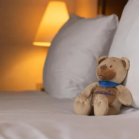 Crowne Plaza Brussels Airport By Ihg Hotel 4*